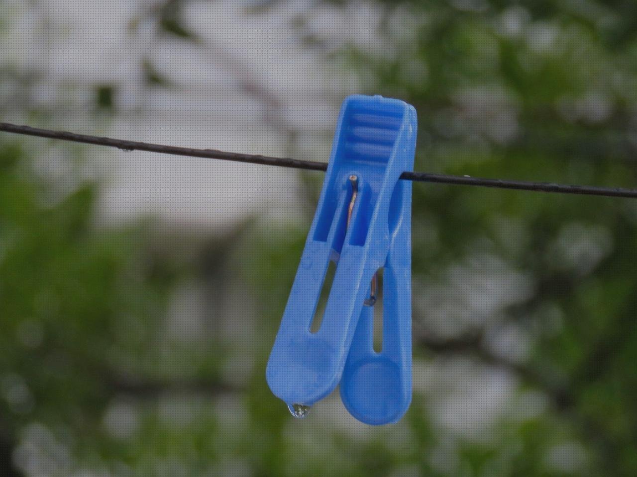 ¿Dónde poder comprar botella amazon plastico paneer de plastico?