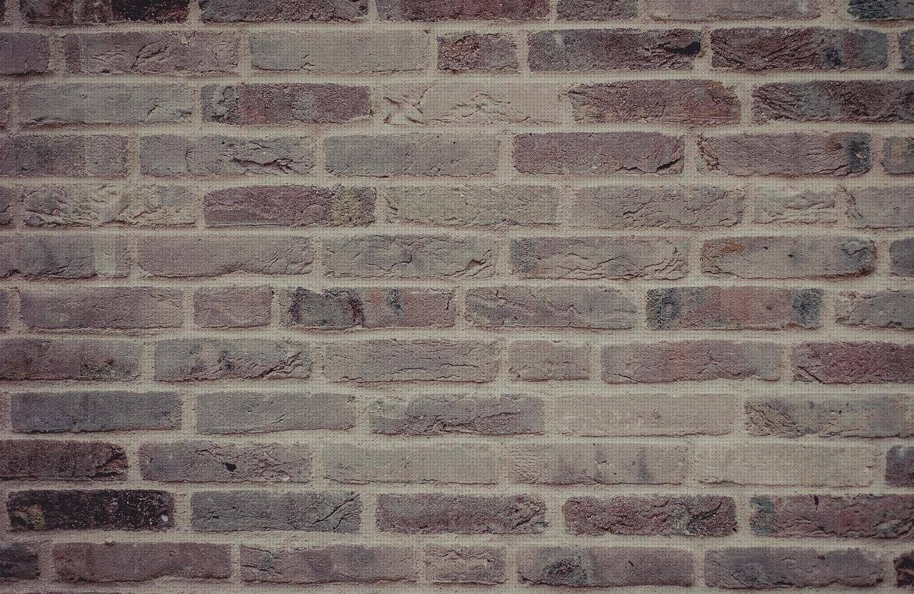 Las mejores 30 Pared Policarbonato