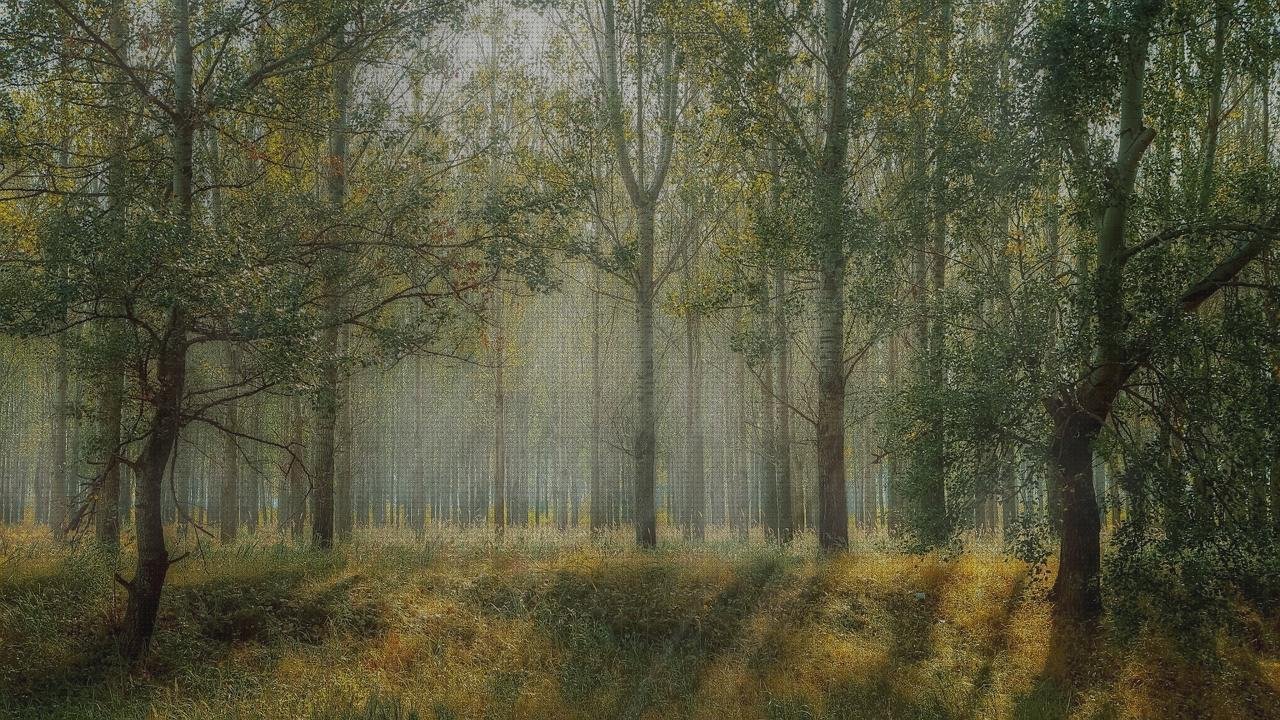 Las mejores pulir metacrilato metacrilato pasta pulir metacrilato