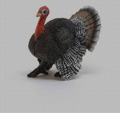 ¿Dónde poder comprar pavo de plastico?