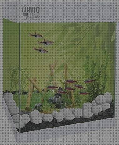 Las mejores pecera plastico 10 litros caja plastica 40 litros pecera de plástico 10 litros