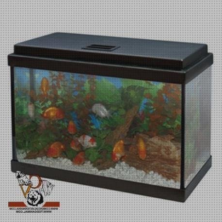 Las mejores marcas de pecera plastico 10 litros caja plastica 40 litros pecera de plástico 20 litros
