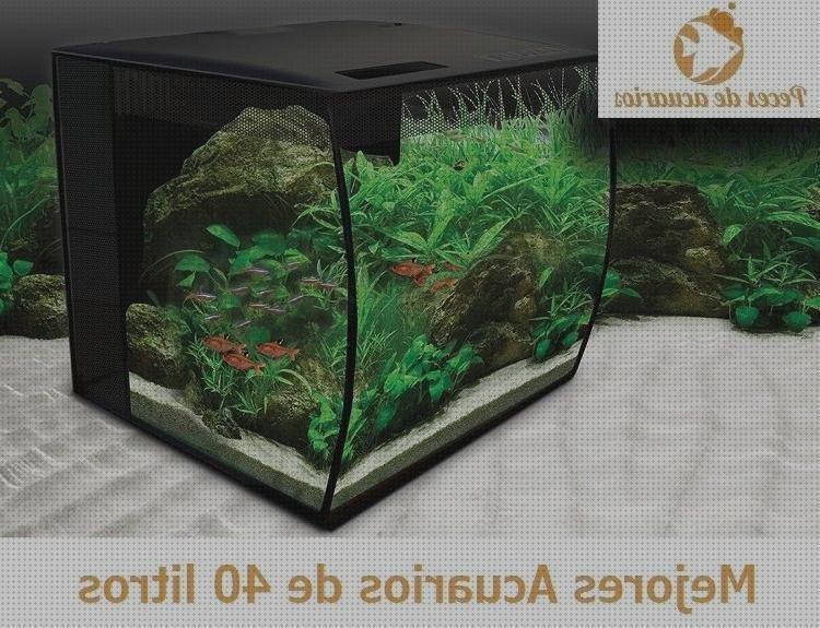 Review de pecera de plástico 20 litros
