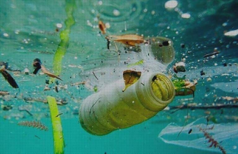 ¿Dónde poder comprar peces peces de plastico?