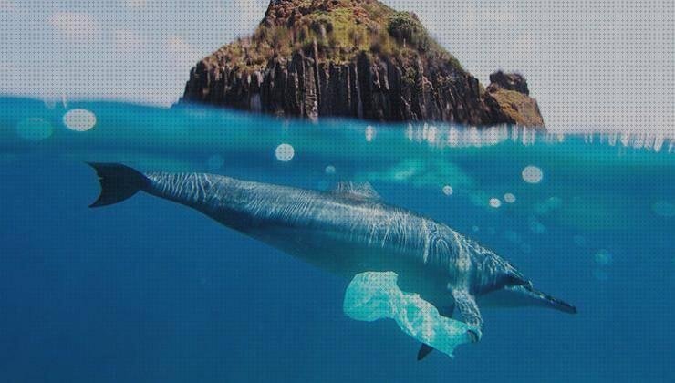 Las mejores peces peces de plastico