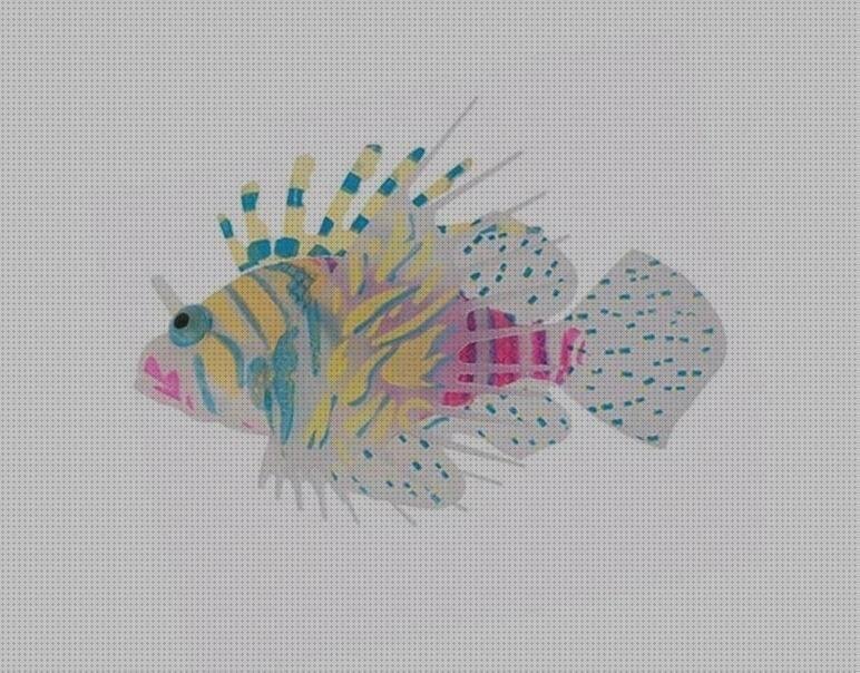 ¿Dónde poder comprar Más sobre pasta de silicona Más sobre caca plástico Más sobre grinder plástico peces de silicona?