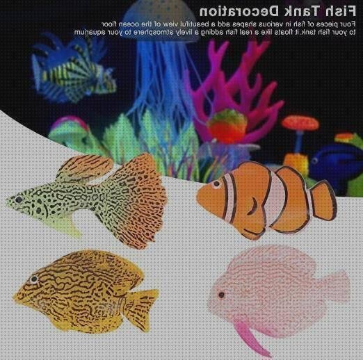 12 Mejores peces de siliconas