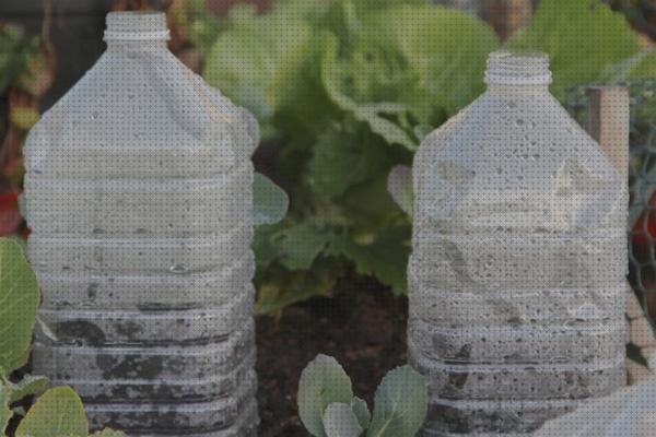 ¿Dónde poder comprar botella pequeña de plástico botellas pequeño invernadero con botellas de plástico?