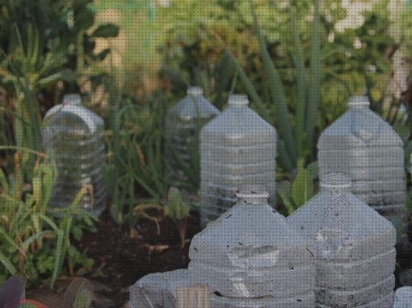 Las mejores botella pequeña de plástico botellas pequeño invernadero con botellas de plástico