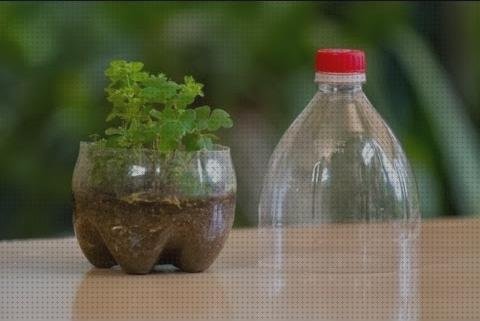 Opiniones de los 11 mejores Pequeños Invernaderos Con Botellas De Plásticos