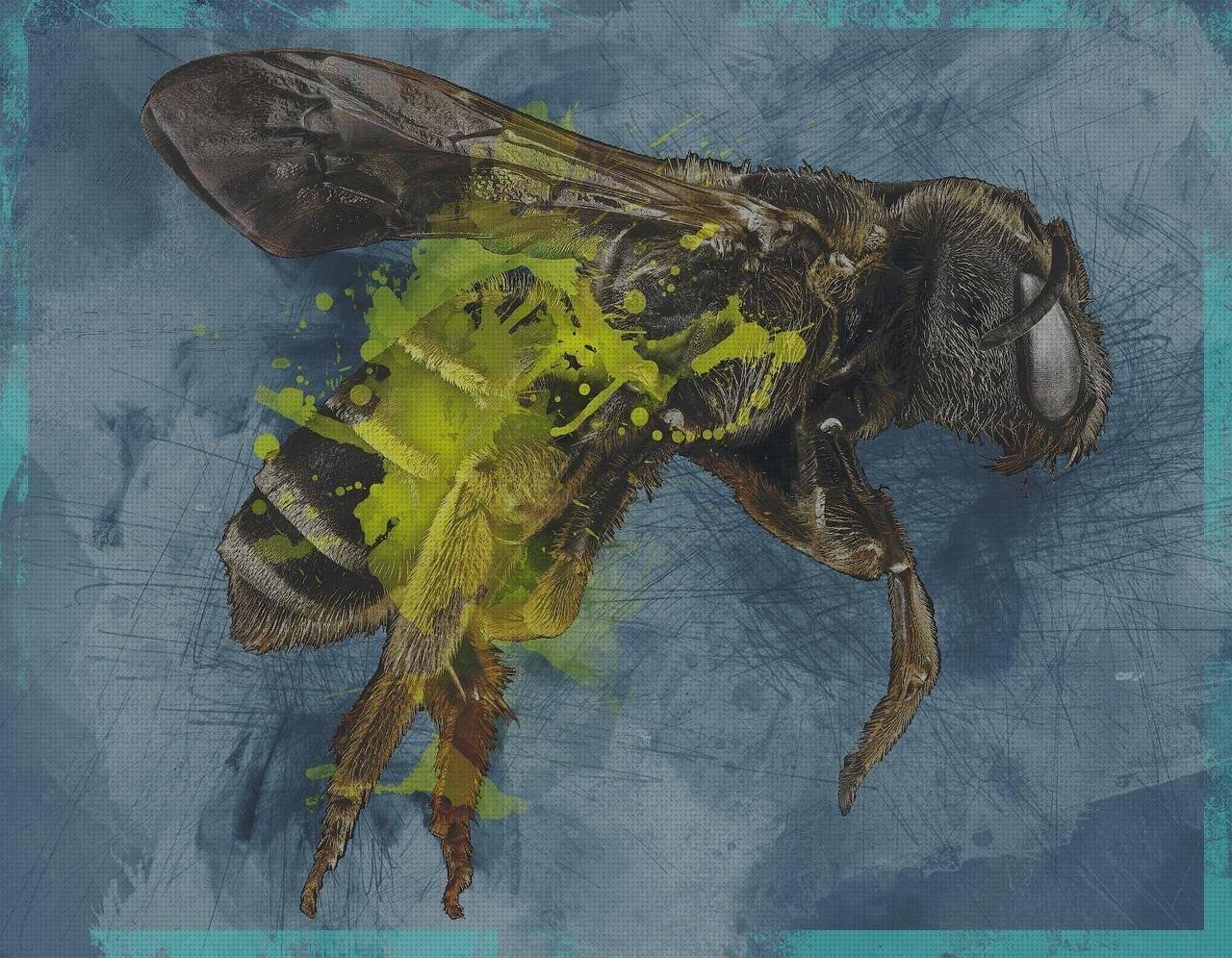 Las mejores marcas de perfiles pvc pvc perfil u pvc