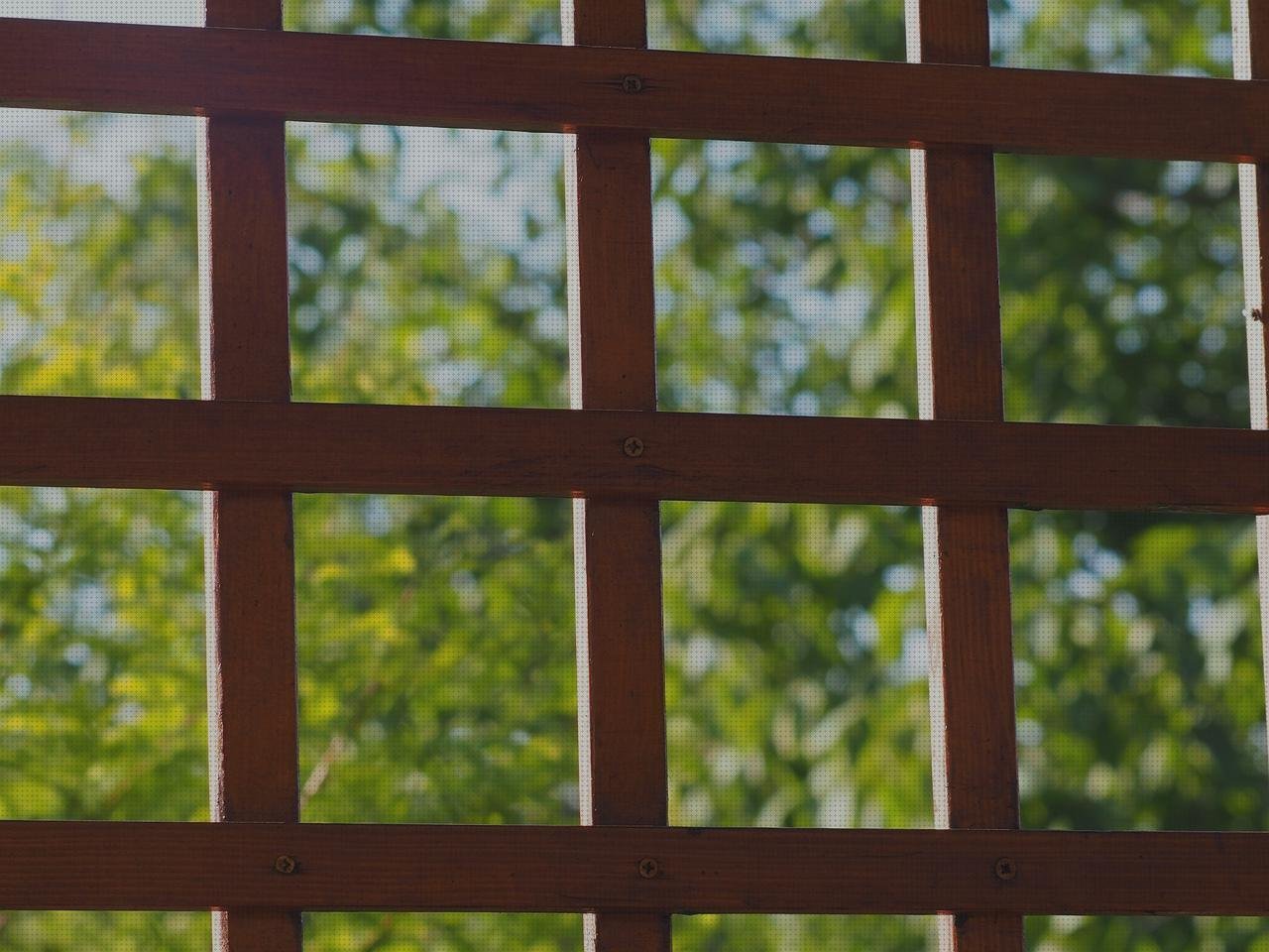 Las mejores pergolas plástico fachadas ventiladas de policarbonato fachada policarbonato pergolas en madera y policarbonato