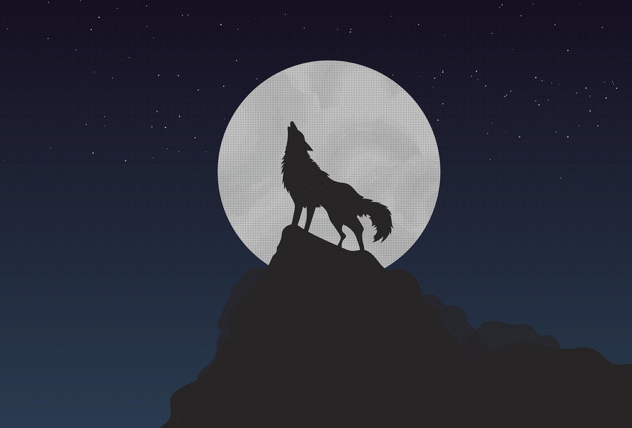 Los mejores 15 Pie Metacrilato