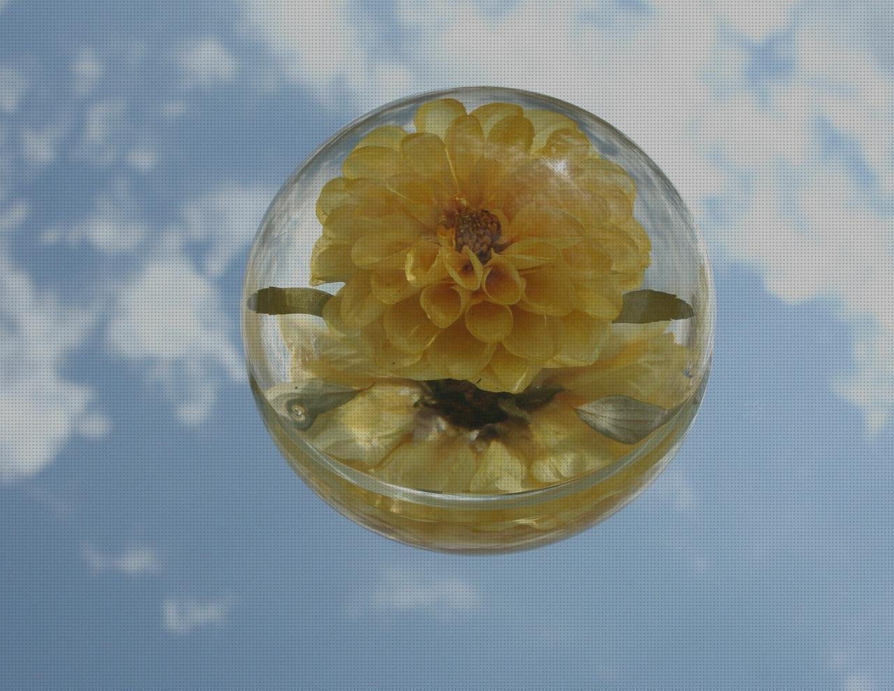 Review de pisapapeles metacrilato