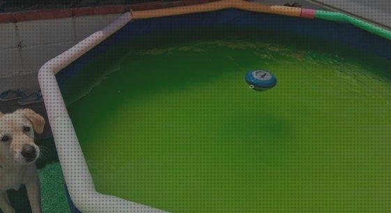 Las 6 Mejores Piscinas De Plásticos Con Aguas Saladas