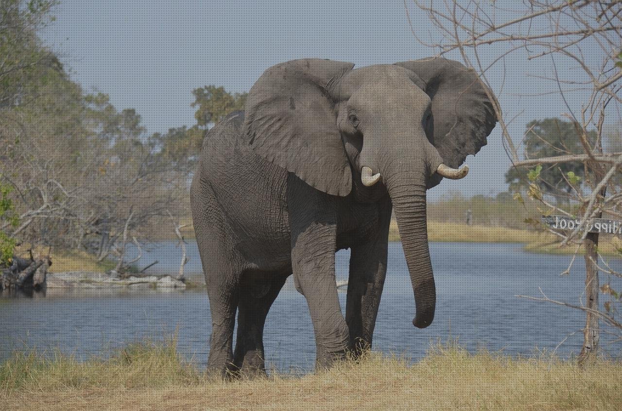 Las mejores marcas de piscina metacrilato rótulo corporeo chapa y metacrilato corporeo metacrilato piscina grande metacrilato