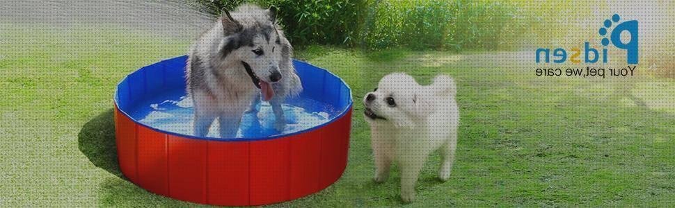 Review de piscina niños pvc