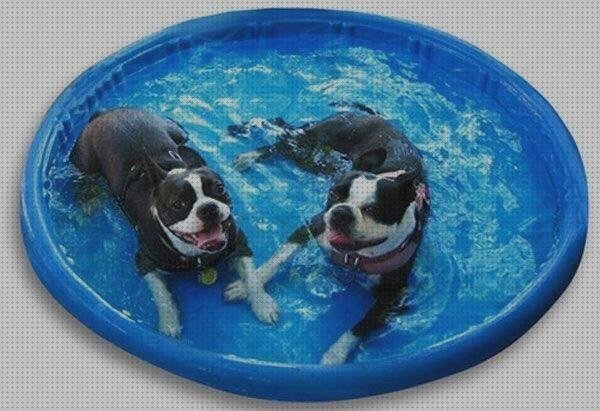 ¿Dónde poder comprar piscinas piscinas de plastico chicas?