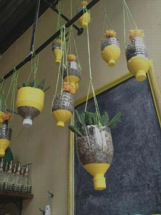Opiniones de las 10 mejores Plantas Colgantes Con Botellas De Plásticos
