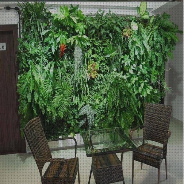 ¿Dónde poder comprar plantas plástico Más sobre talonera silicona anatomicas Más sobre muñecas de silicona grandes plantas de plástico?
