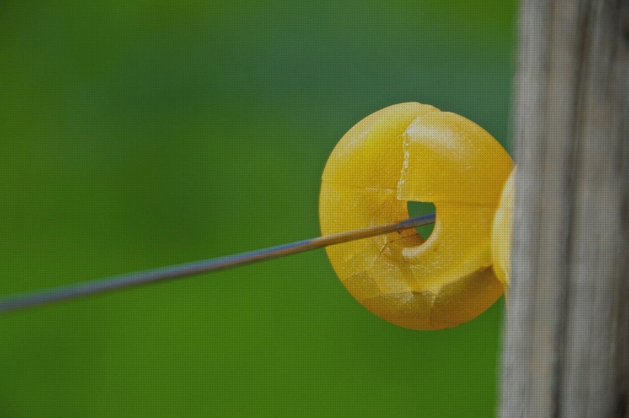 Las mejores marcas de plastico aislante plastico plastico aislante electrico