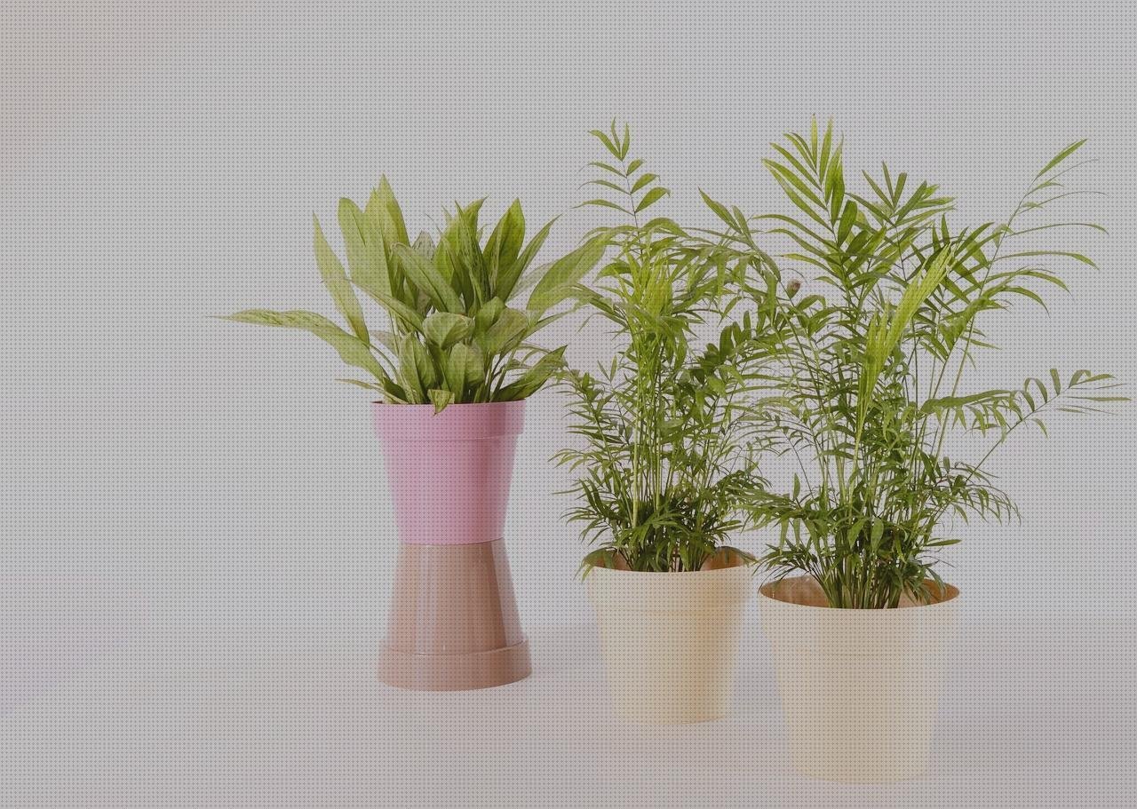 Las mejores marcas de plastico pp plastico plastico color rojo