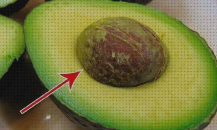 Las mejores plástico de policarbonato plástico plexiglas plástico con hueso de aguacate