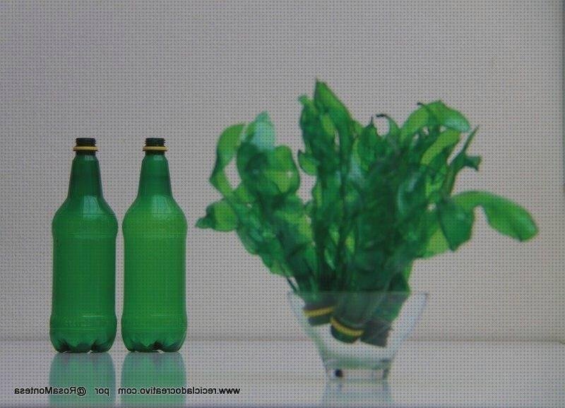 ¿Dónde poder comprar algas plastico de algas?