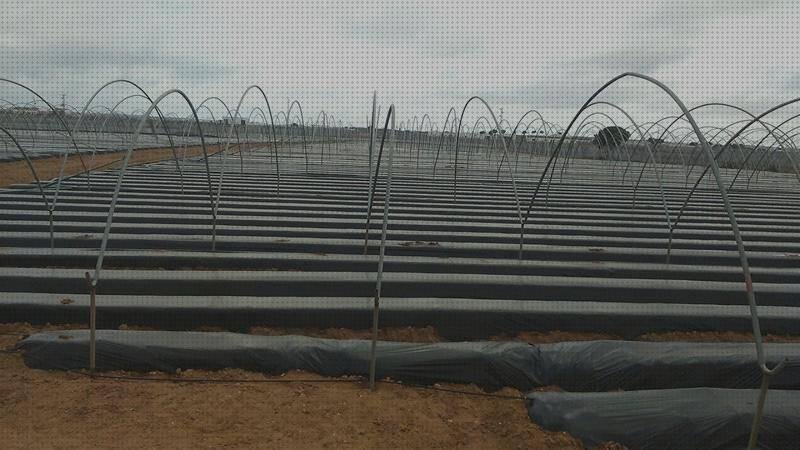 ¿Dónde poder comprar plásticos plástico de plantación?