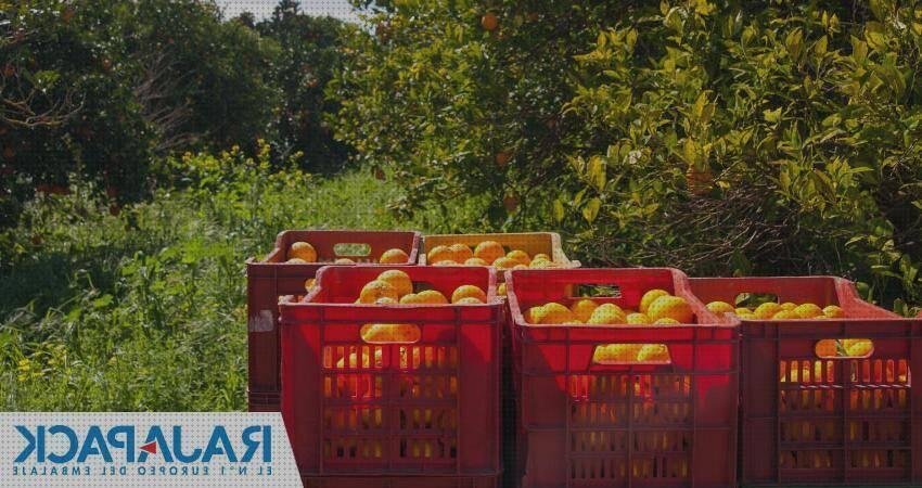 ¿Dónde poder comprar plásticos cajas plastico embalaje cajas?