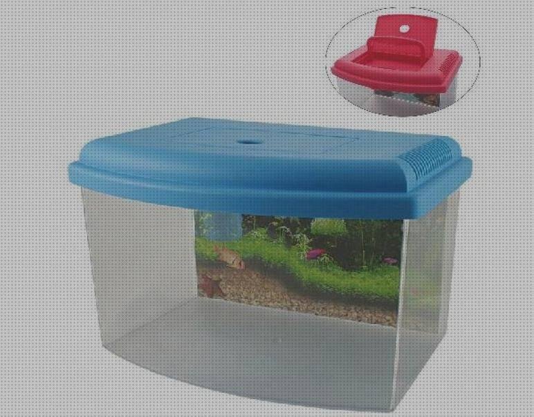 Las mejores plástico plexiglas plástico grande