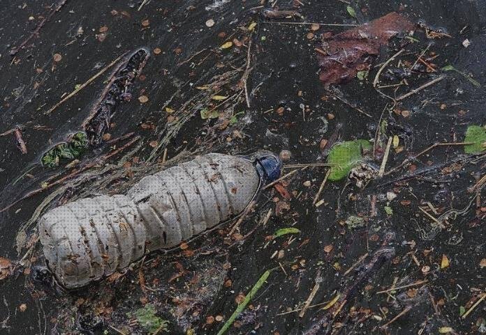 Las mejores marcas de plásticos plastico sobre