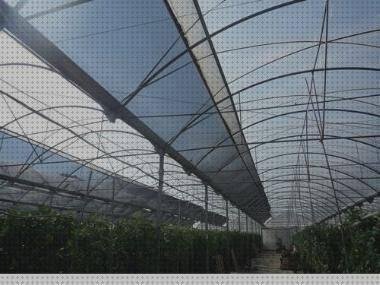 Las mejores marcas de polietilenos plásticos plastico polietileno invernadero