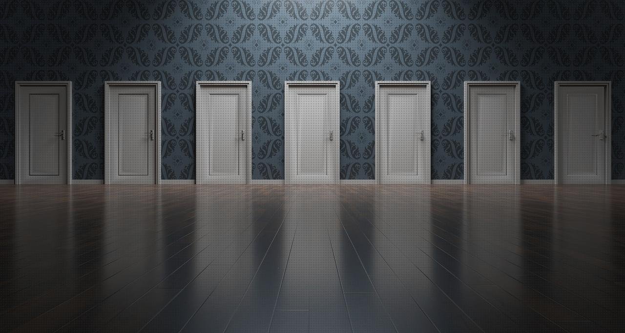 Las mejores marcas de puertas plástico puerta policarbonato