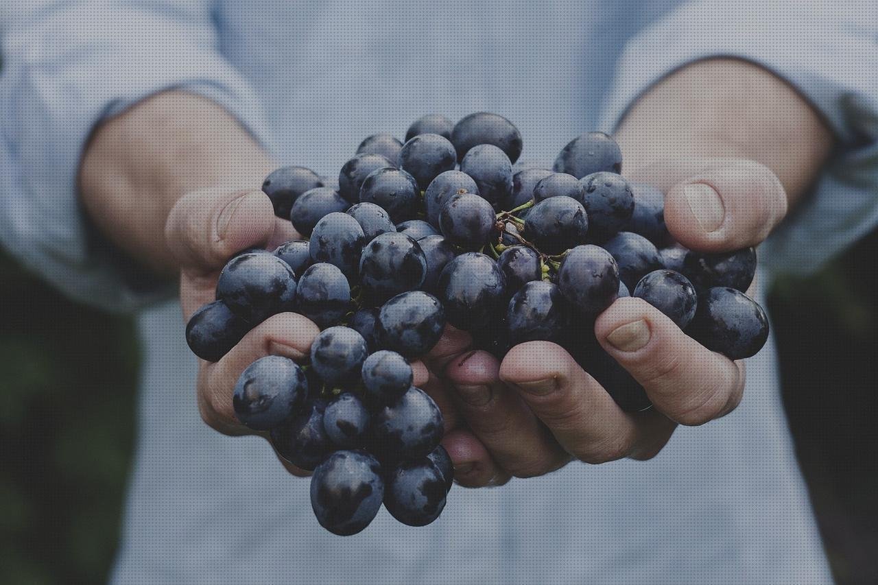 Los 12 Mejores Racimos De Uvas De Plásticos