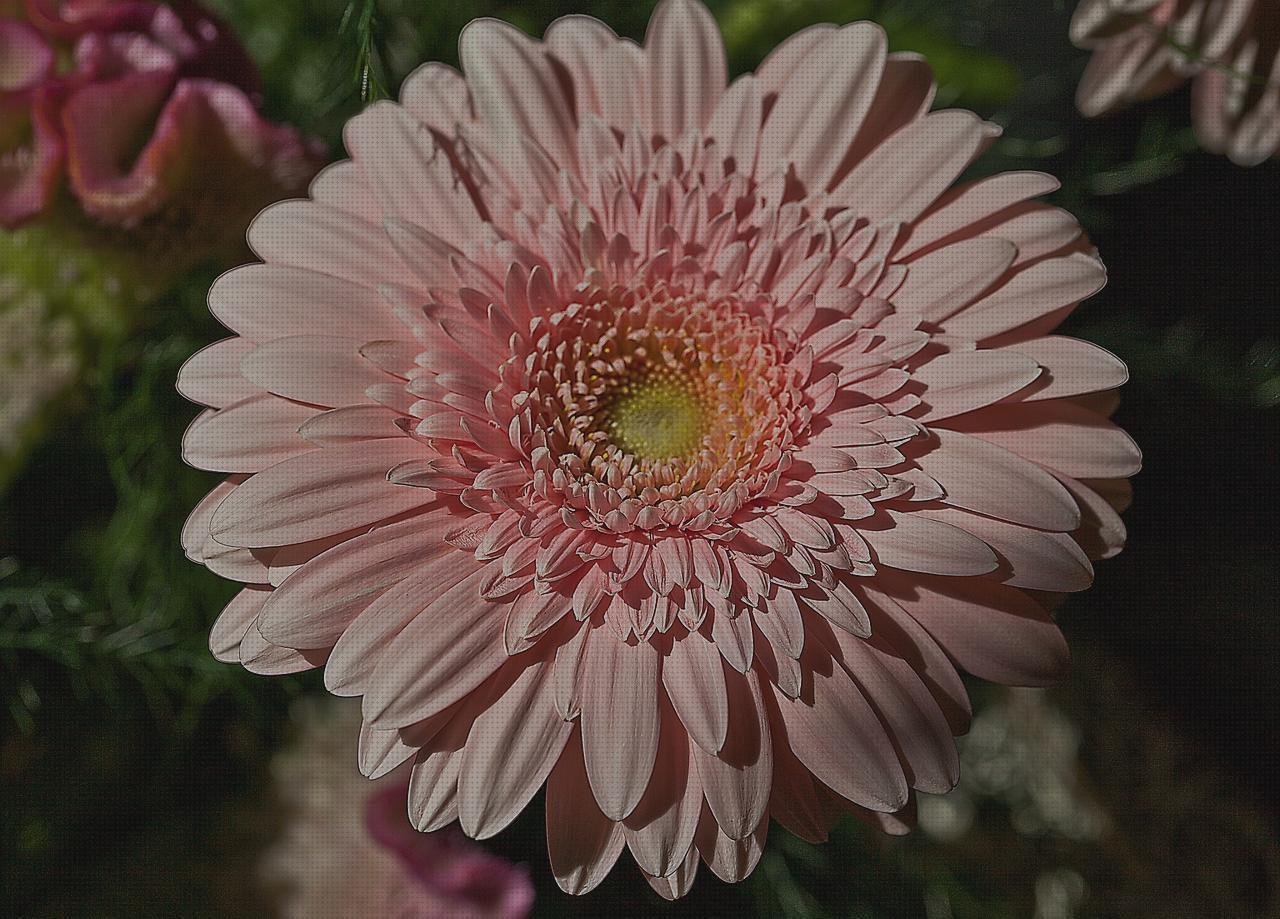 Review de ramos de flores de plastico