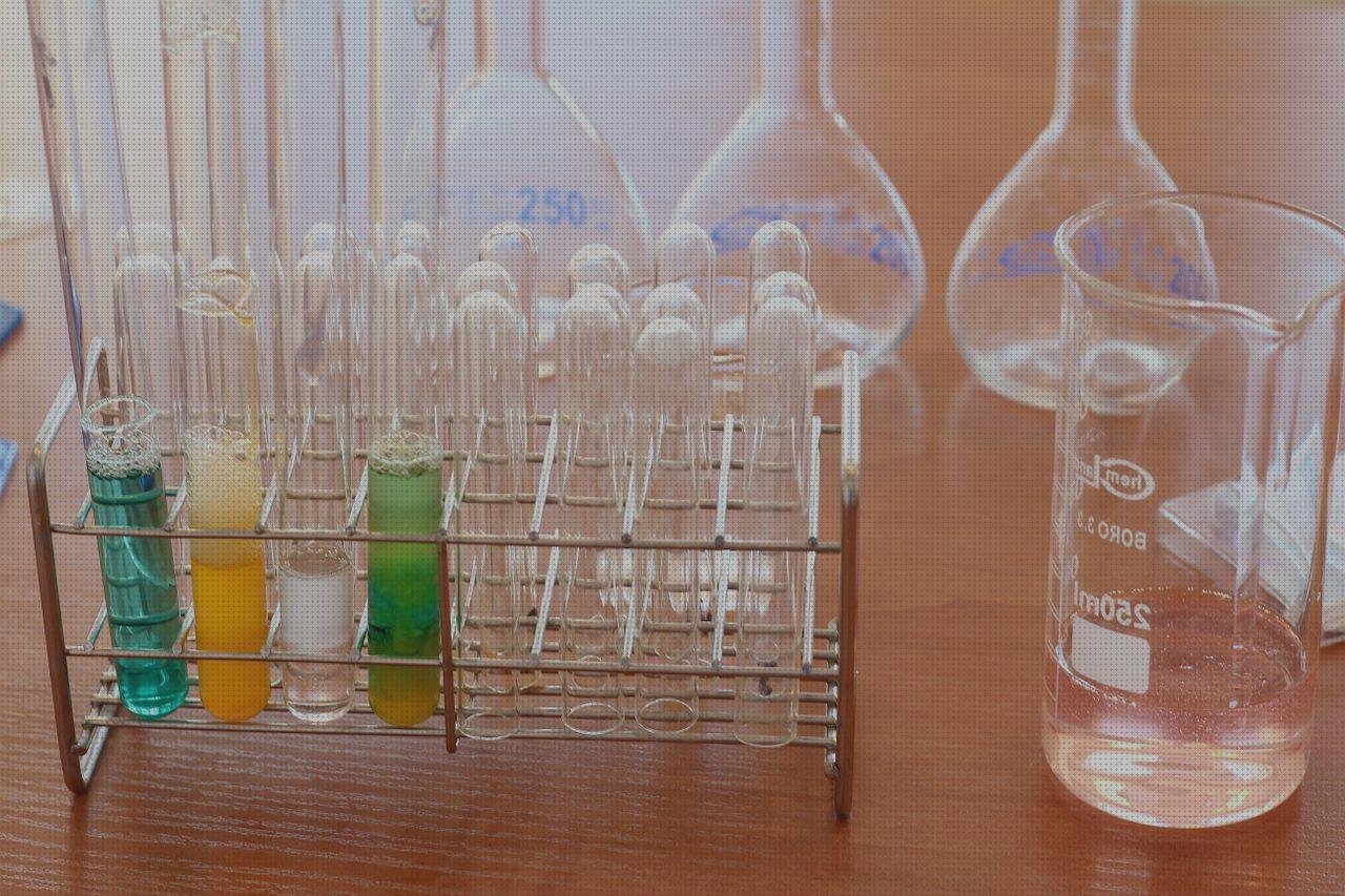 Review de recipientes de plástico transparente con tapa