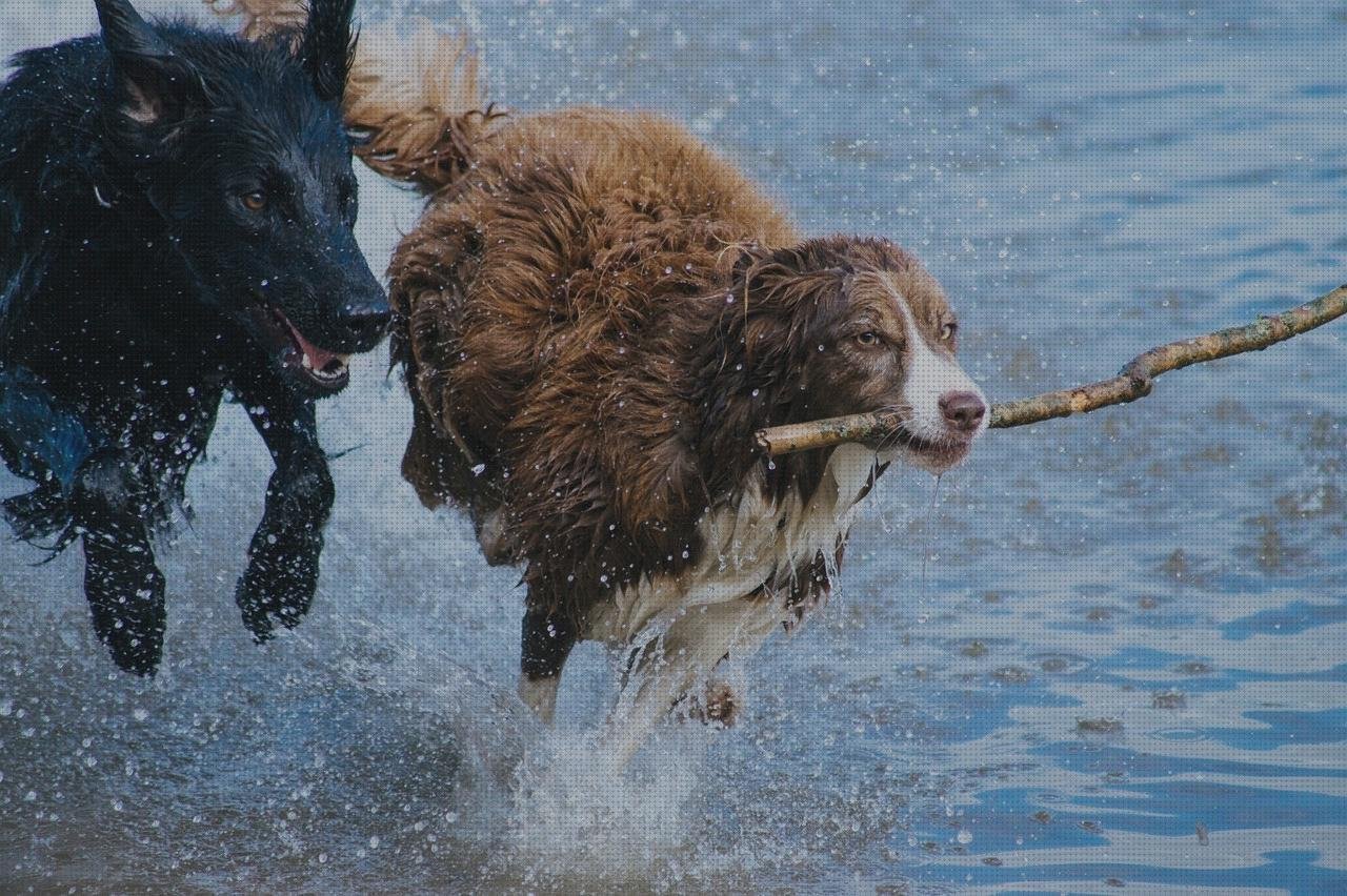 Las mejores marcas de classification of plasticos plasticos futura marinha grande leyland plasticos recuperador de plasticos