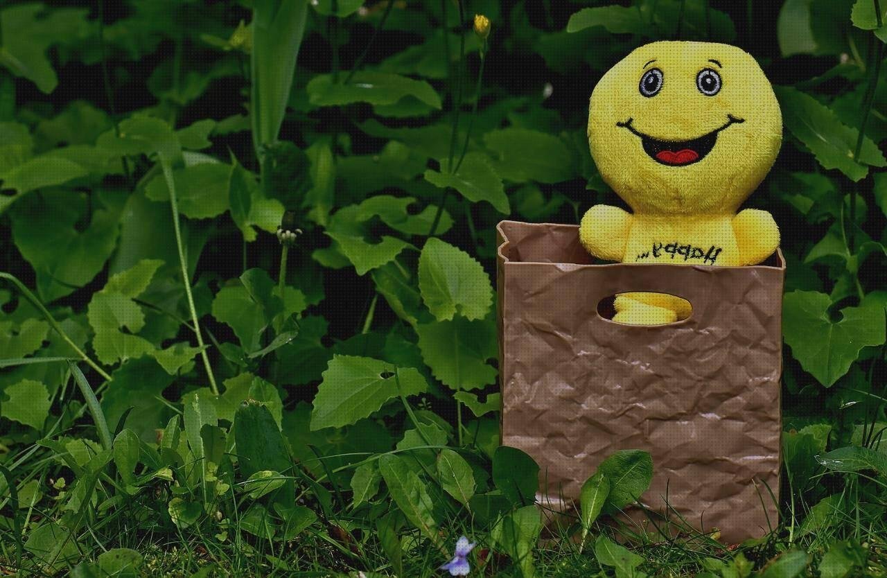 ¿Dónde poder comprar asiento de urea plástico asientos reducción de bolsas de plástico?