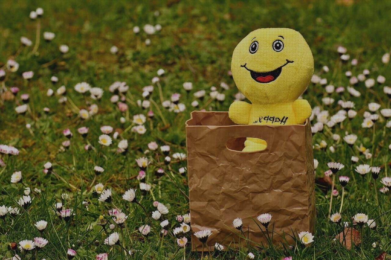 Las 9 Mejores Reducciones De Bolsas De Plásticos