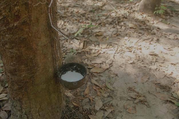 Las mejores relleno silicona Más sobre muñecas de silicona grandes relleno de látex