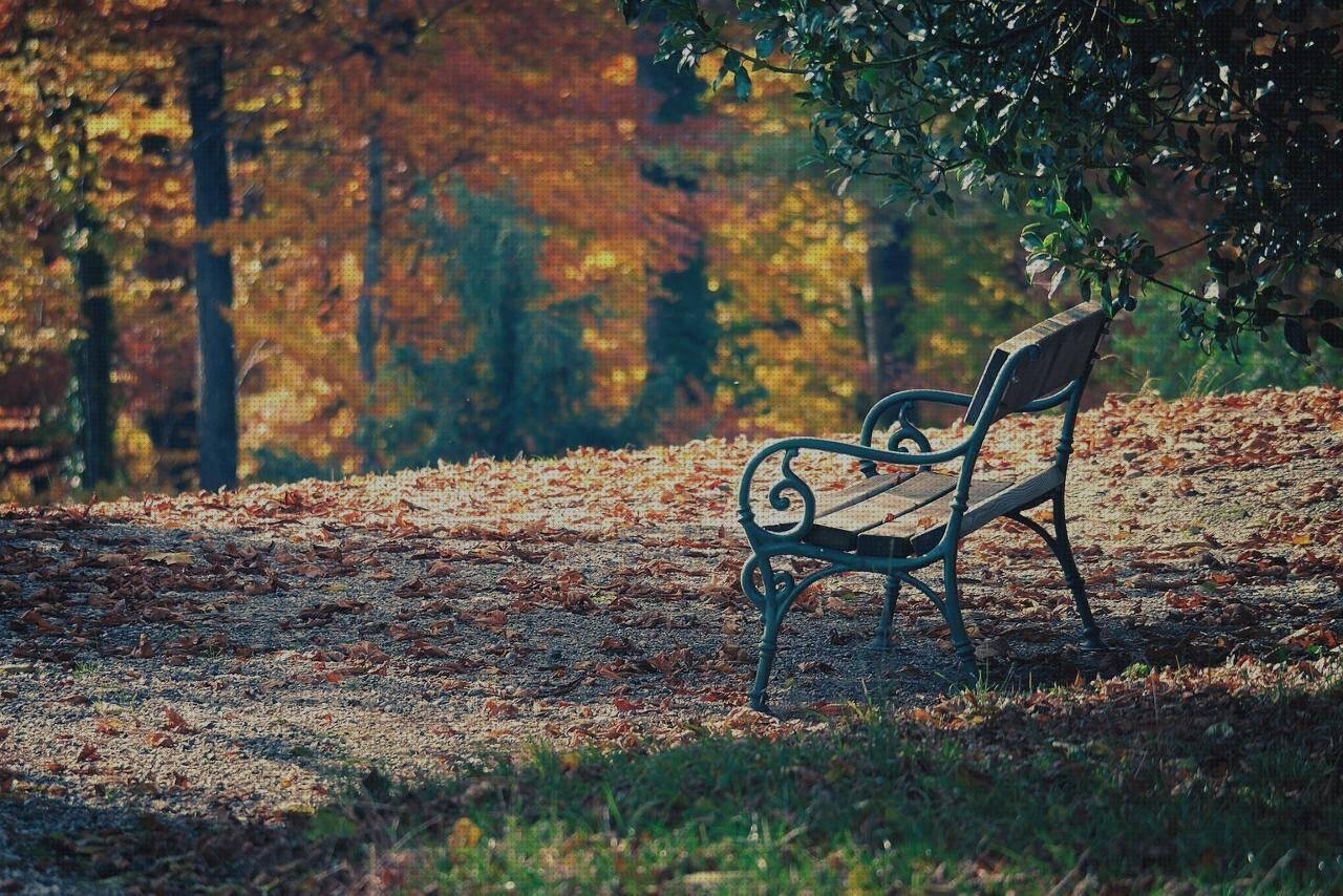 Los mejores 21 Reposapies De Plásticos