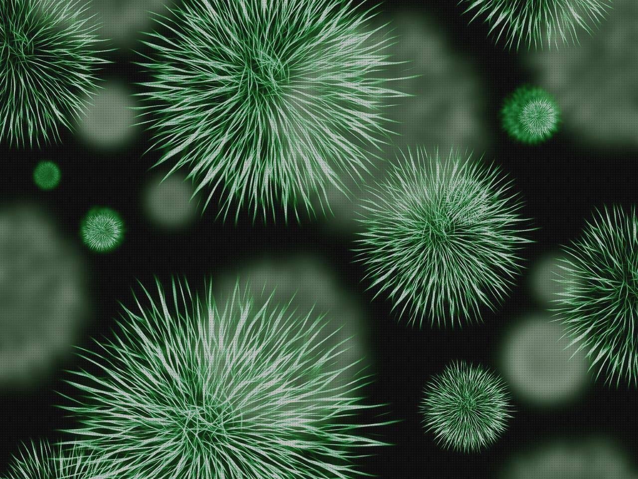 Las mejores resistencias silicona Más sobre talonera silicona anatomicas Más sobre muñecas de silicona grandes resistencias de silicona