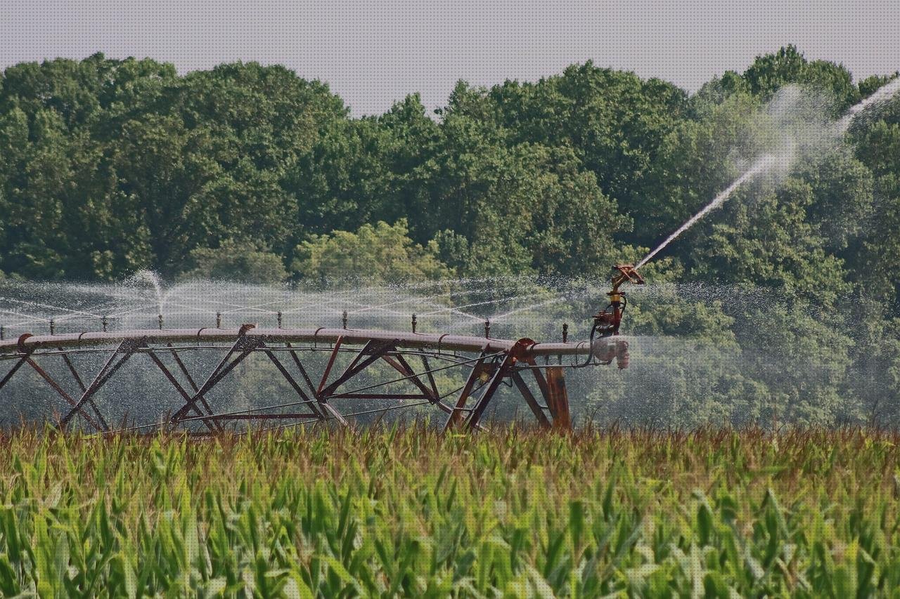 Las mejores marcas de disfraces con botellas de plástico botellas riego con botellas de plástico