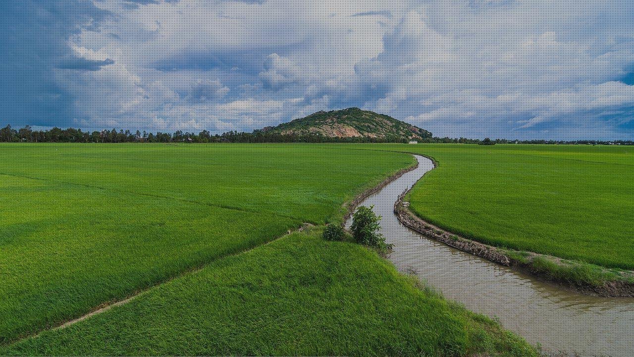 Las mejores disfraces con botellas de plástico botellas riego con botellas de plástico