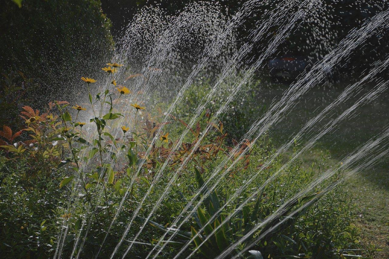 Review de riego con botellas de plástico