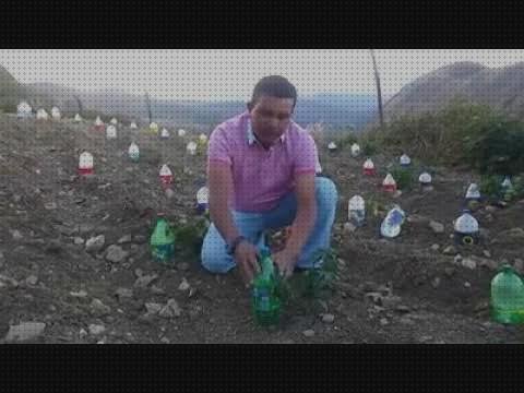 ¿Dónde poder comprar riego con botellas de plástico disfraces con botellas de plástico botellas riego solar con botellas de plástico?