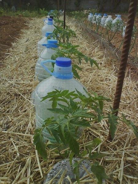 Las mejores marcas de riego con botellas de plástico disfraces con botellas de plástico botellas riego solar con botellas de plástico