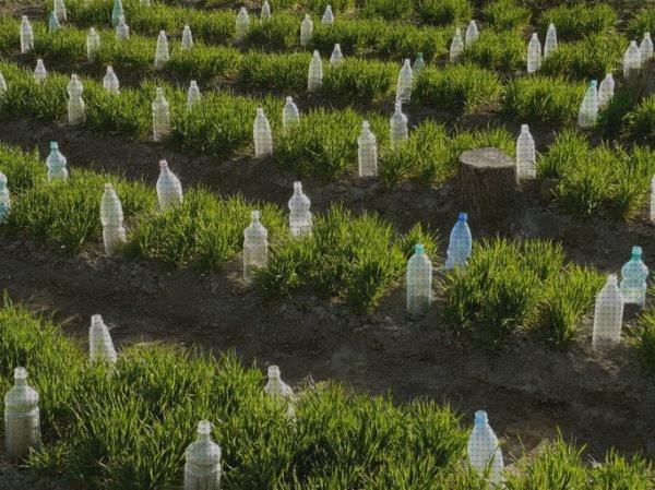 Review de riego solar con botellas de plástico