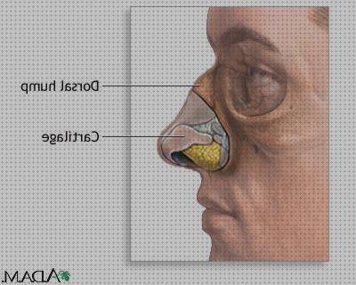 Las mejores cortal metacrilato panera metacrilato perchero metacrilato rinomodelacion metacrilato